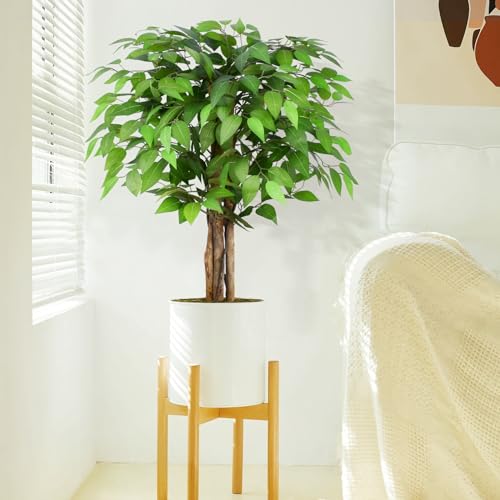 3ft Ficus Artificial Trees with Natural Curved Trunks, 36" Tall Lush Faux Tree for Home Decor Indoor, Green Lifelike Fake Ficus Tree Artificial Plants - size: 3ft
