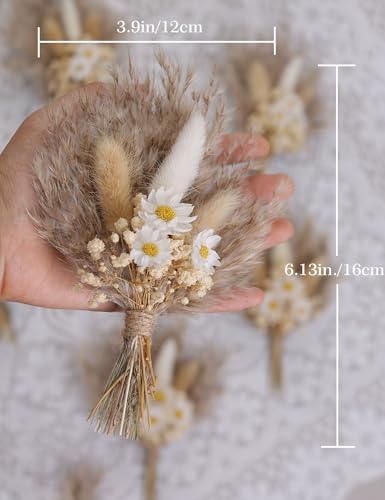 xin's convey Mini Dried Flower Bouquet Set of 6, Small Pampas Grass, Bohemian Wedding Table Centrepieces, Bridesmaid Flower Girl Proposal Boxes, Birthday Cake, Party Plate Decorations (Brown) - color: Brown