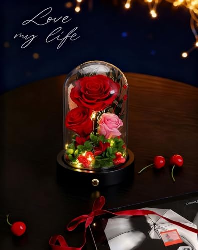 Red Roses Gifts for Women,Preserved Roses in Glass Dome, Forever Flowers for Delivery, Eternal Flower Mothers Day Anniversary Birthday Valentines Day Gifts for Wife Her Mom - color: New Red