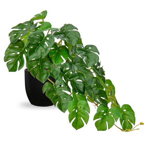 DILATATA Fake Plants Indoor 8 Inch Artificial Monstera Plant in Black Plastic Pot - Faux Potted Tropical Palm Plant for Home Aesthetic Decor Living Room Shelf Office - color: Monstera #Plastic#style 1