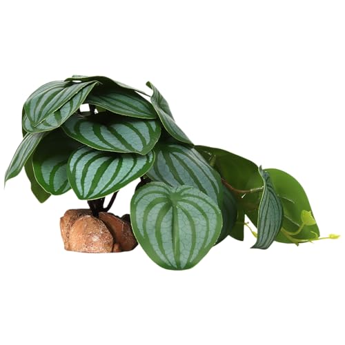Reptile Plants for Terrarium, Ball Python Tank Decor Accessories fit Bearded Dragon Crested Leopard Gecko Lizard Chameleon Snake Frog Tortoise Hermit Crab - Fake Calathea Orbifolia - color: G-fake Calathea Orbifolia