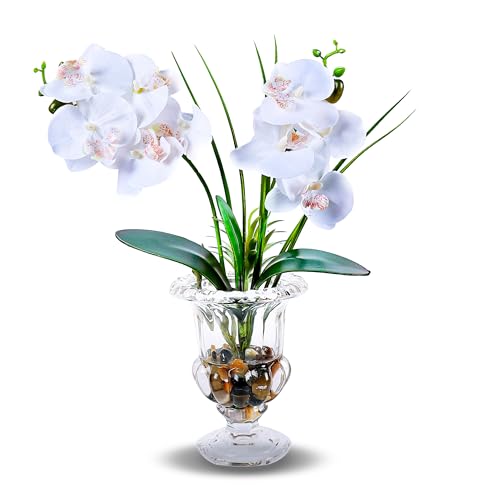Jusdreen Artificial Orchid Centerpiece with Glass Vase, 14.5 Inch Lifelike Phalaenopsis Bonsai for Home Office Table Decor, White Orchid Arrangement with Potting - color: Wine Glass-white