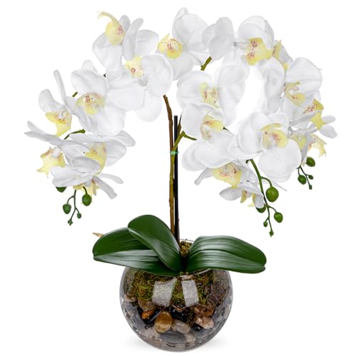 White Orchids Artificial Flowers 16.5" Faux Orchids Plant in Pot Fake Flower Arrangements with Glass Vases White Centerpieces for Kitchen Dining Room Tables Bathroom Nightstand Shelf Desk Decor - color: White Orchid & Brown Stones