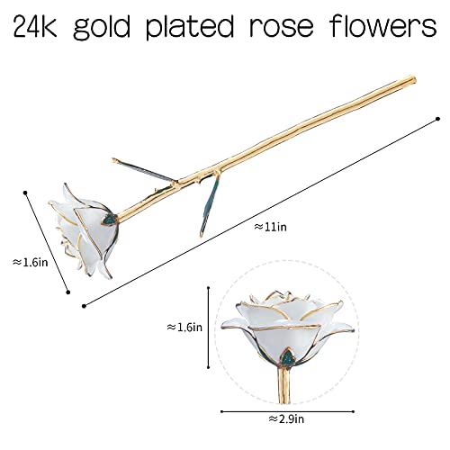 SW 24k Gold Dipped Real Rose Lasted Forever with Stand, White Gold Rose Gifts for Women Wife for Her, Christmas, Valentines Day, Mothers Day, Birthday - color: White