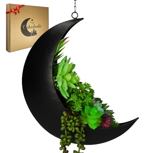 Hanging Moon Planter for Moon Room Decor - Great for Succulents, Air Plant, Mini Cactus, Faux, Artificial Plants-Boho Hanging Planters for Indoor Plants, Witchy Gifts for Women, Birthdays,Plant Lovers - color: Black Moon Planter Only