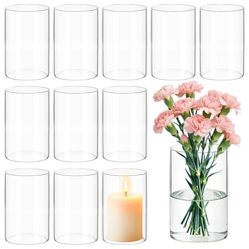 12 Pack Glass Cylinder Vases for Flower 6 Inch Tall Clear Centerpieces Bulk Vase Hurricane Floating Candle Holder for Table Home Decor Floral Shelf Party Dining Wedding Holiday Decoration - size: 6 Inch