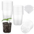 30 Packs 3.5 Inch Reinforced Clear Nursery Pots for Plants with Drainage Holes, High Transparency Planting Plastic Seedling Pots, Seedling Planter Seed Starter with 20 Plant Labels - size: 3.5 inch 30p