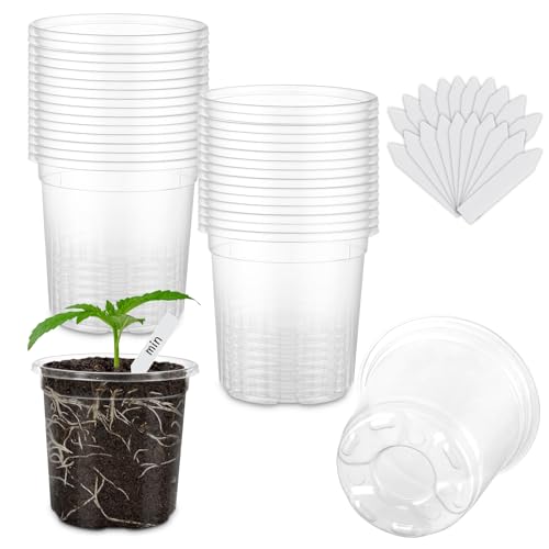 30 Packs 3.5 Inch Reinforced Clear Nursery Pots for Plants with Drainage Holes, High Transparency Planting Plastic Seedling Pots, Seedling Planter Seed Starter with 20 Plant Labels - size: 3.5 inch 30p