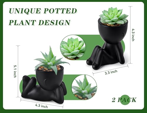 Der Rose 2 Pack Fake Plants Succulent Plants Artificial for Home Bathroom Living Room Office Decor - color: Black