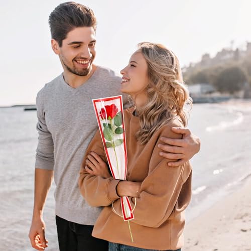 BEISHIDA 100 PCS Single Rose Sleeve Single Flower Wrapping Bags Single Rose Packaging Cellophane Flower Sleeves for Florist Bouquet Supplies, Mother's Day, Valentine's Day,Wedding Gift(Black Edge) - color: single-red