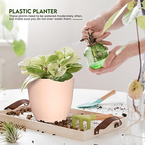 Utopia Home - Plant Pots with Drainage - 7/6.6/6/5.3/4.8 Inches Home Decor Flower Pots for Indoor Planter - Pack of 5 Plastic Planters, Cactus, Succulents Pot - Pink - color: Peach Pink, size: Pack of 5