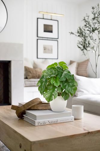 Fake Plants Small Artificial Plants Indoor Set of 2 Faux Plants with Pots Realistic Monstera Fake Potted Plants Artificial Decor for Home Bedroom Aesthetic Bathroom Shelf Living Room Office Table - color: Set of 2 Green