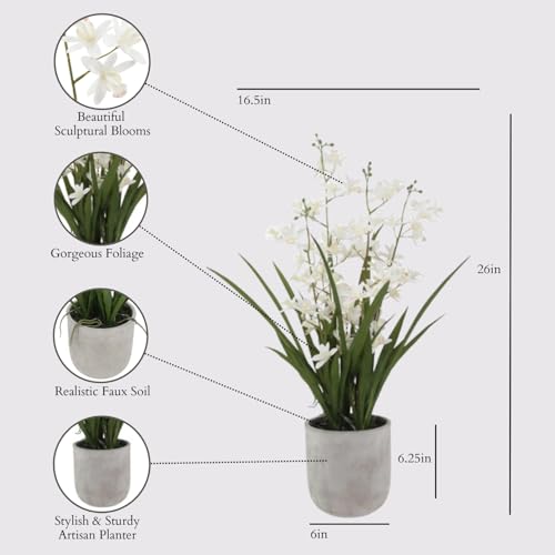 CG Hunter Faux Vanda Orchid Plant, Premium Artificial Indoor Flower Display Stands 26”, Beautiful Sculptural Blooms that Lasts Forever, White Planter Pot Included - size: 26" Vanda Orchid
