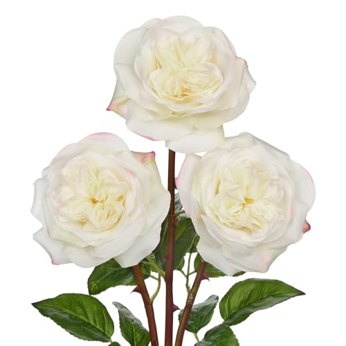 Artificial Roses - Set of 3 Long-Stem Real Touch Silk Roses, 24.4" Faux Flowers for Home Decor, Wedding Bouquets, Centerpieces & Floral Arrangements – Lifelike Cream Fake Roses - color: Cream