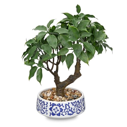 Artificial Bonsai Tree, Small Ficus Bonsai Tree 13" Indoor Bonsai Tree | Fake Potted Plant Decorative Fake Desk Plant Decor with Blue & White Ceramic Pot for Home Office Bathroom Table Shelf - color: Green Ficus& Blue and White Pot