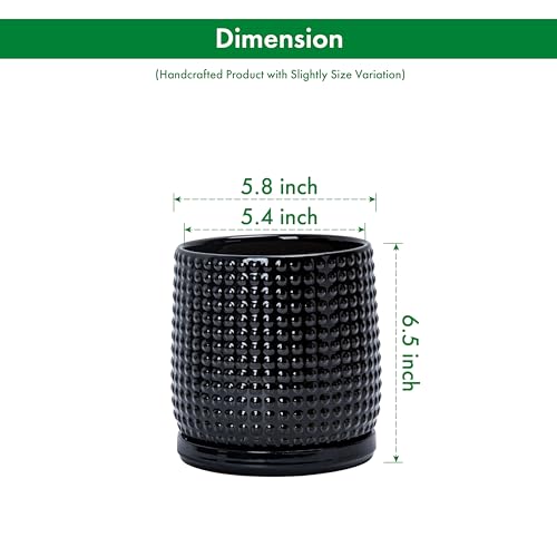 D'vine Dev 6 Inch Ceramic Beaded Stoneware Planter Pot - Flower Pot with Drainage Holes and Saucers for Indoor Succulent Plants or Flowers, Glossy Black, 27-C-X-2 - color: Glossy Black, size: 5.8 Inch