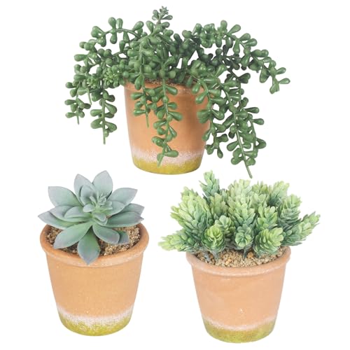 COTSEN 3 Pcs Artificial Succulent Plants Potted False Succulent Plants Potted Faux Potted Plant Family Office Bookshelf Decor