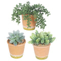 COTSEN 3 Pcs Artificial Succulent Plants Potted False Succulent Plants Potted Faux Potted Plant Family Office Bookshelf Decor