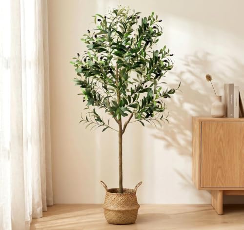 Olive Trees Artificial Indoor, 6FT Faux Olive Tree with Black Planter, Tall Fake Tree with Artificial Moss Natural Trunk Realistic Fruits for Home Office Decor Indoor