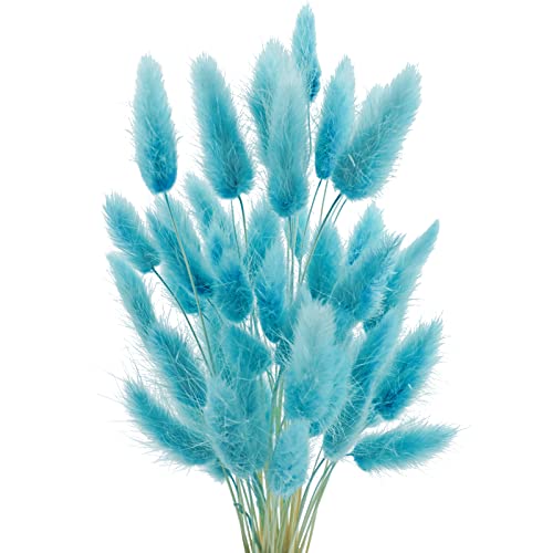 Uieke 17’’ Natural Bunny Tails Dried Flowers, 50 Pcs Dried Lagurus Ovatus, Dried Foxtail Grass for Flower Arrangements Wedding Centerpieces Home Boho Baby Shower Party Decorations (Blue) - color: Blue-50pcs