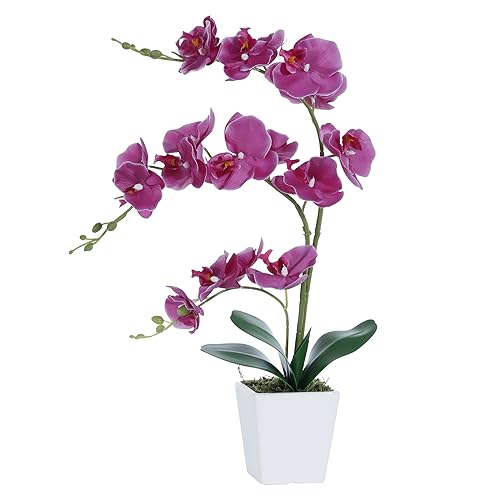 Faux Orchid in Vase Artificial Orchid in Ceramic Vase Tall Silk Orchids with Stems Real Look Potted Phalaenopsis Flowers Arrangement Centerpiece Table Decorations for Home Decor Indoor, Fuchsia - color: Y-fuchsia