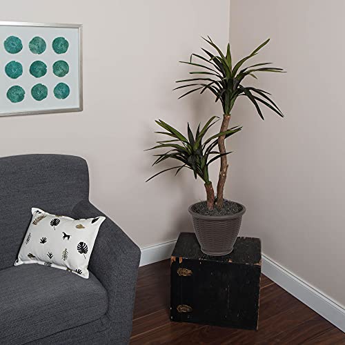 Vickerman 4' Indoor Artificial Marginata Bush, Brown Plastic Container. - color: Dark Green, style: Vickerman Everyday 4' Artificial Marginata Bush in Brown Plastic Container