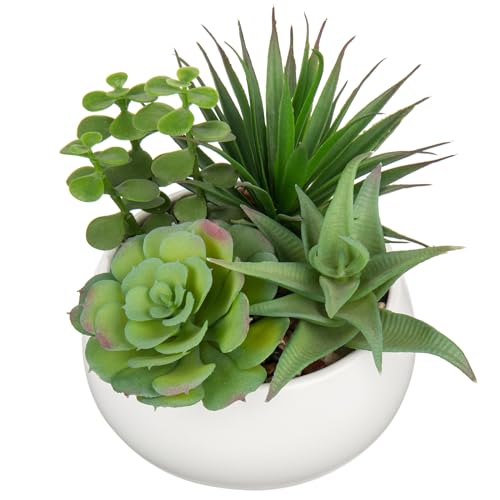 Hollyone Fake Plants Artificial Succulents in Pots Faux Succulent Arrangement Potted Plant with White Ceramic Pot for Home Decor Modern Office Desk Bathroom Shelf Living Room Indoor Decoration - color: Matte White