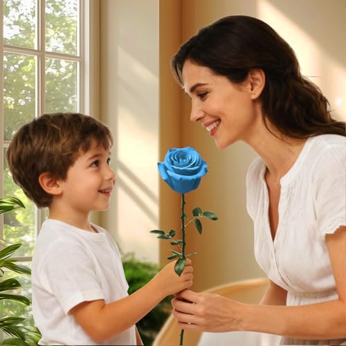 Light Blue Single Forever Roses Luxury Gift for Women/Men, Fresh Flowers Bouquet for Girlfriend, Wife, Mom, Anniversary, Valentine's Day, Wedding, Graduation, Christmas, Birthday - color: Light Blue