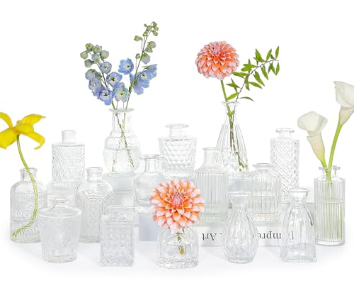 SUPMIND 16pcs Glass Bud Vase Set, Small Clear Flower Vases for Centerpieces in Bulk, Cute Mini Vintage Vase for Wedding, Home Decor, Table Decoration - color: Clear