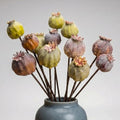 Artificial Flowers -12Pcs Artificial Poppy Pods, Real Touch Flowers for Bathroom,Coffee Table,Wedding, Home,Party Decoration,Table Centerpiece Arrangement (Green & Brown,No Include Vase)