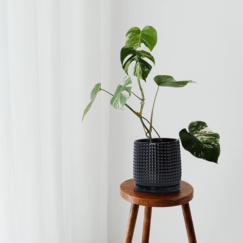 D'vine Dev 6 Inch Ceramic Beaded Stoneware Planter Pot - Flower Pot with Drainage Holes and Saucers for Indoor Succulent Plants or Flowers, Glossy Black, 27-C-X-2 - color: Glossy Black, size: 5.8 Inch