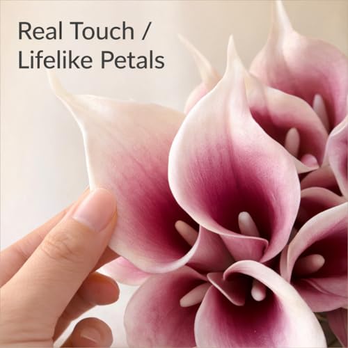 Floral Kingdom Artificial Calla Lily Flowers, 20 Pack, 14 Inch, Mauve White, Real Touch Latex - Wedding Centerpieces, DIY Floral Arrangements, Home Decor - color: Mauve White