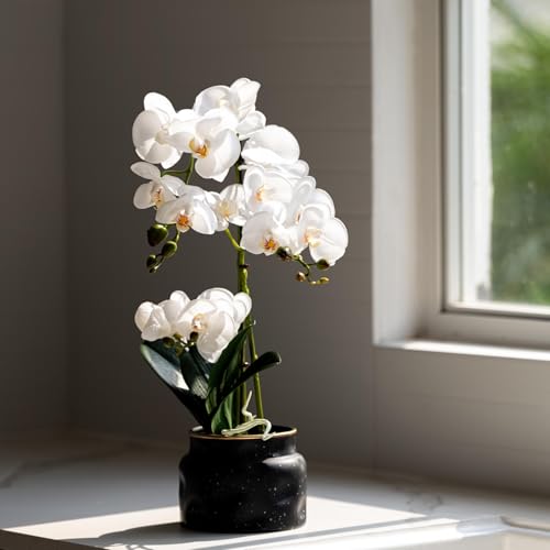 Avoeco Artificial Real Touch Orchid Plant – 20″ Faux Phalaenopsis in Pot – Highly Realistic Silk Orchid Flower & Leaf Texture for Home, Office,Shop & Wedding Décor (1 White, 20”) - color: 1 White, size: 20”