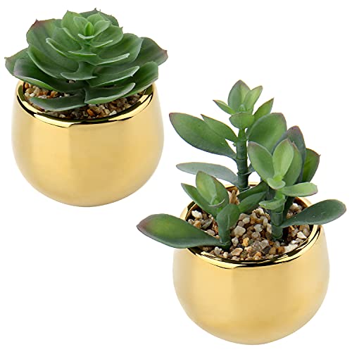 Briful Small Artificial Succulents in Pots Set of 2 Realistic Faux Succulents Plants with Gold Ceramic Pots Cute Mini Fake Plants Decor for Modern Home Table Office Desk Bathroom Shelf Decoration - color: Style #06