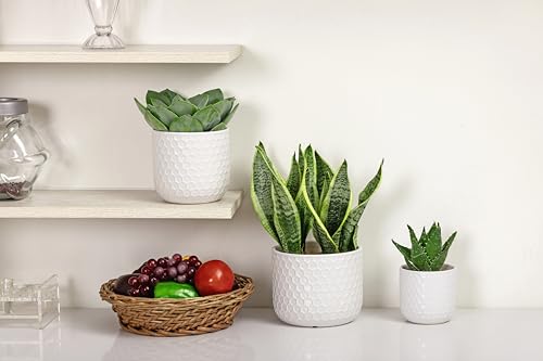 Docrin Plant Pots Indoor with Drainage: 6.4+5.3+4 Inch Ceramic Flower Pots for Plants - Set of 3 Modern Decorative Planters for House/Office/Gift - White Honeycomb - color: Milky White