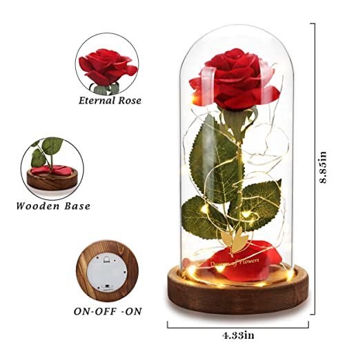Mothers Day Flowers Roses Gifts for Mom Beauty and The Beast Rose,Red Rose in Glass Dome with 2 Lights Modes, Valentines Flower Gifts for Women Mom Wife Girlfriend on Valentines Anniversary,Birthday - color: Beauty and Beast Brown