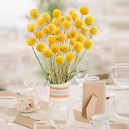 Uieke 120pcs Dried Yellow Billy Balls Flowers for Floral Arrangements, Wedding Decor, Tall Vase Filler, Indoor Use - color: Yellow-30mm-120pcs
