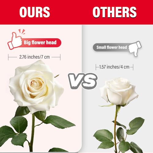 20PCS Artificial Roses with Long Stems - Realistic Silk Flowers, Fake Roses Real Touch Bouquet of Roses for Home Decor, Bridal Wedding Party Table Centerpieces, Bulk Faux Rose Flowers (White) - color: White, size: 20 PCS