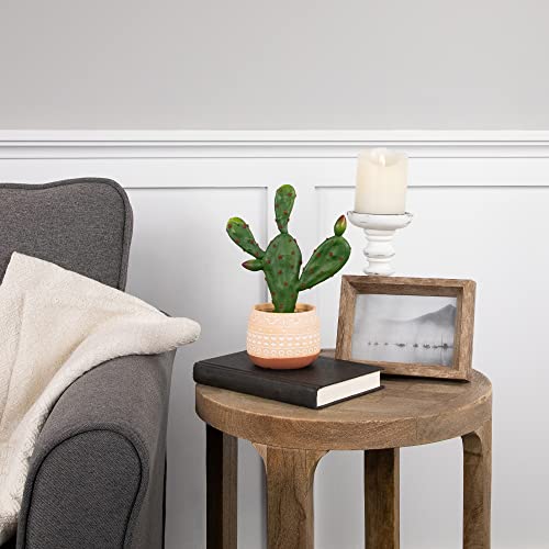 Northlight Real Touch™ Artificial Green and Red Potted Floral Cactus - 9.5"