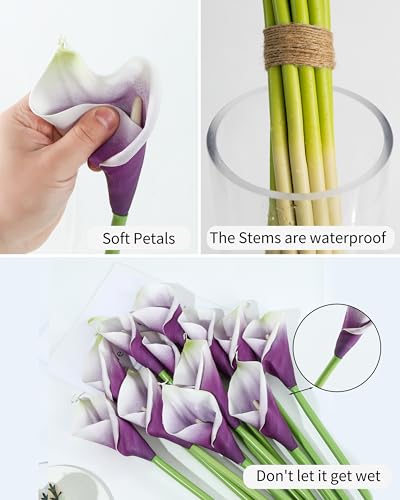 DuHouse 12pcs Calla Lily Artificial Flowers,26" Long Stem Large Calla Lily Flowers,Real Touch Calla Lilies for Party Wedding Bridal Bouquet Home Decor Centerpiece(White-Purple) - color: White-purple