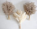 30 PCS Boho Decor, Fluffy Pompas Grass, Natural Dry Pampas Grass Small, Short Pampass Bulk for Boho Room, Coffee Table Decor (17 inch ) - size: 30PCS-Natural