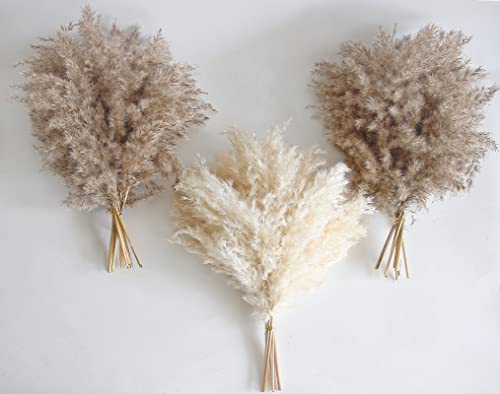 30 PCS Boho Decor, Fluffy Pompas Grass, Natural Dry Pampas Grass Small, Short Pampass Bulk for Boho Room, Coffee Table Decor (17 inch ) - size: 30PCS-Natural