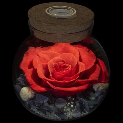 Preserved Real Roses with Colorful Mood Light Wishing Bottle, Eternal Rose，Never Withered Flowers, Table Decor,Christmas Anniversary Valentine's, Red 4.3inch, 1pcs - color: Red