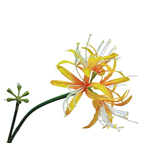 6 Stems 26.38 Inch Artificial Lycoris Radiata Spider Lily Flowers for Home Garden Decoration (Green) - color: Green