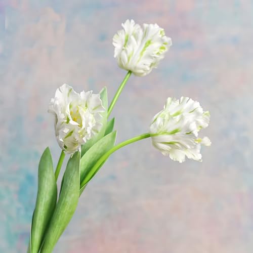 3Pcs 3D Parrot Tulips Artificial Flowers Faux Tulips Real Touch Long Stem Fake Tulips Bouquet for Home Office Wedding Table Decor 27.56" Tall-White Green - color: White Green