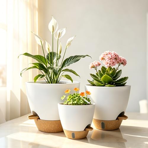 4-Pack Large Self Watering Pots for Indoor Plants, 12/10/9/8 Inch Planters with Visible Water Level Window, Automatic Watering System for Monstera, Fiddle Leaf, Herbs, Succulents, White - color: White+