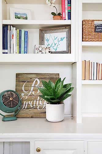 Artificial Agave Succulent Plants Faux Snake Plant Fake Succulent Agave Plant Potted in White Pot Succulent Aloe Plant for Desk Modern Office Living Room Table Shelf Home Indoor Outdoor Decor - color: Style 1-medium