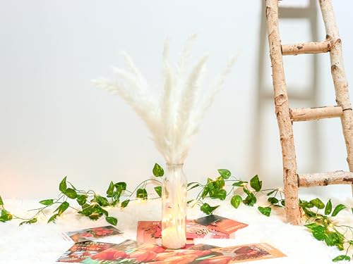 White Pampas Grass in Glass Vase with LED Lights & Faux Crystals, Dried Flowers Modern Floral Centerpiece for Home Decors Living Room Office Wedding Boho Farmhouse Table Decor - color: White With Glass Vase