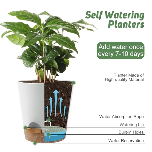 YNNICO 8-Inch Plant Pots, Self-Watering Planters with Drainage Holes & Saucers for Indoor and Outdoor Plants (2-Pack, White) - color: White, size: 8 inch
