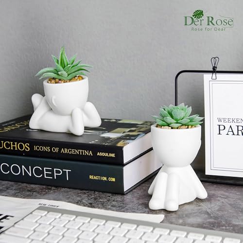 Der Rose 2 Pack Fake Plants Succulents Plants Artificial for Living Room Home Bathroom Office Decor - color: White